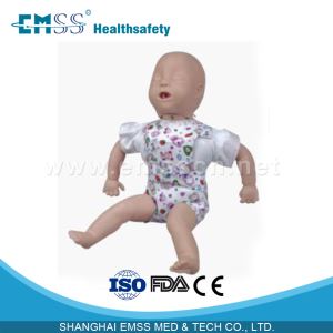 Tibebe Airway trip CPR fomasyon Manikin